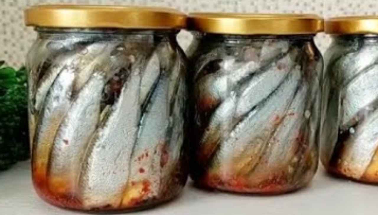 Cum se păstrează peștele până la 12 luni, fără produse chimice: rezultat garantat