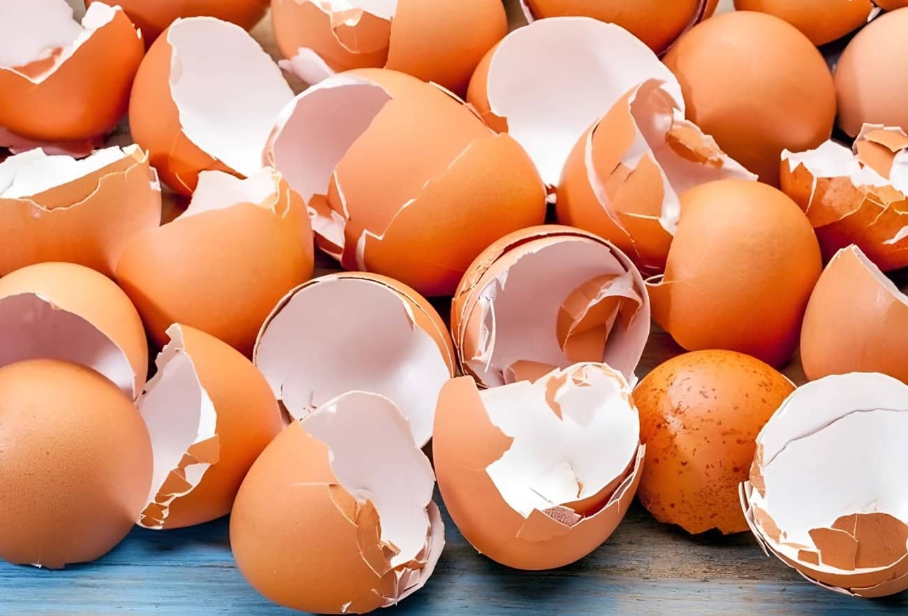 Nu aruncați cojile de ouă: 8 moduri sănătoase de a le folosi acasă și în bucătărie