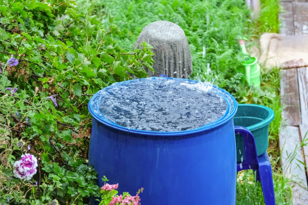 Trucuri ingenioase ale grădinarului, pentru ca apa din butoaie să nu curgă și gheața să nu rupă recipientele