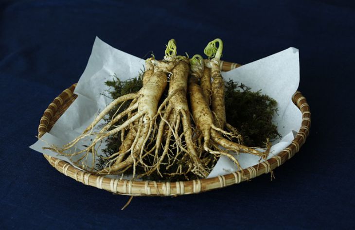 De ce ginseng-ul este numit „cadoul vieții”: medicii au dezvăluit proprietățile uimitoare ale plantei