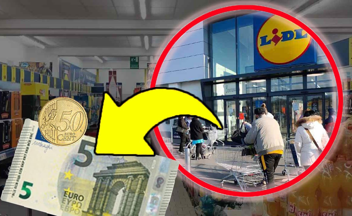 La acest preț le găsești doar la Lidl, mi-am umplut coșul: calitate superioară |  Fugi acum, se vând!