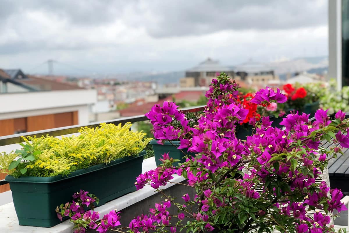 Cum să așezi panourile de balcon împreună. Atenție, unii nu se tolerează