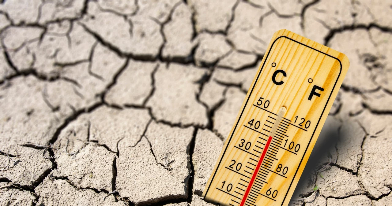 40 de grade în Polonia.  Cum va fi clima pe Vistula peste 50 de ani?