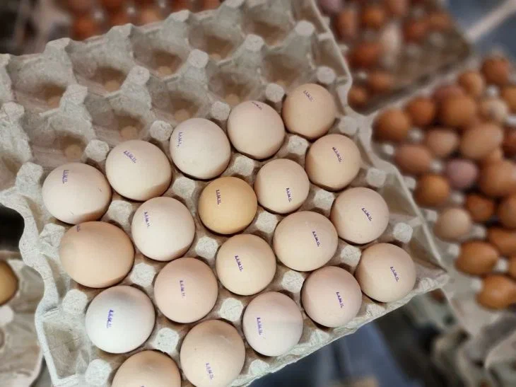 Cum să gătești ouă poșate într-un minut: nici măcar nu trebuie să speli tigaia – este delicioasă, la fel ca într-un restaurant