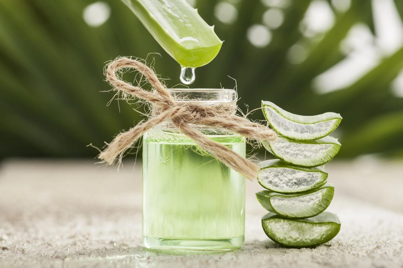 Aloe vera: Faceți un gel răcoritor vindecător din această plantă minune. E ușor, vezi