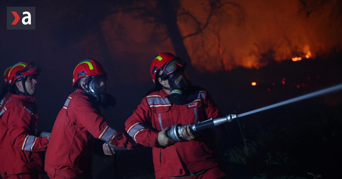 Incendiile forestiere fac ravagii in Albania, locuitorii trebuind evacuati pe coasta Adriaticii