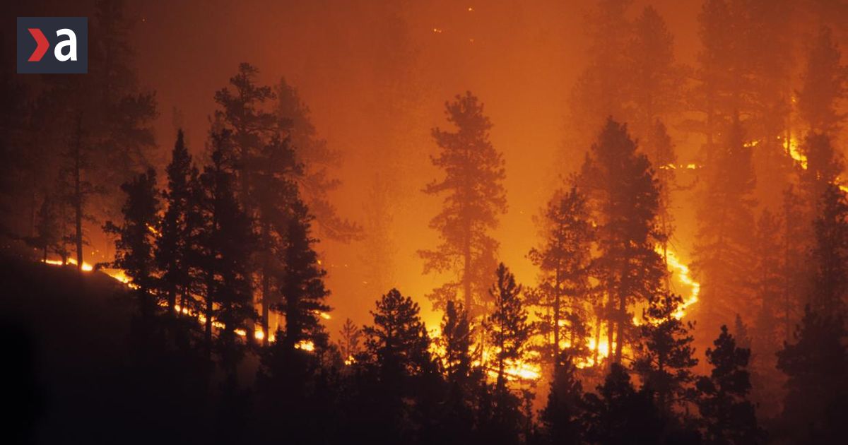 Un incendiu de pădure se răspândește în parcul național din Bosnia, care amenință și pădurea unică