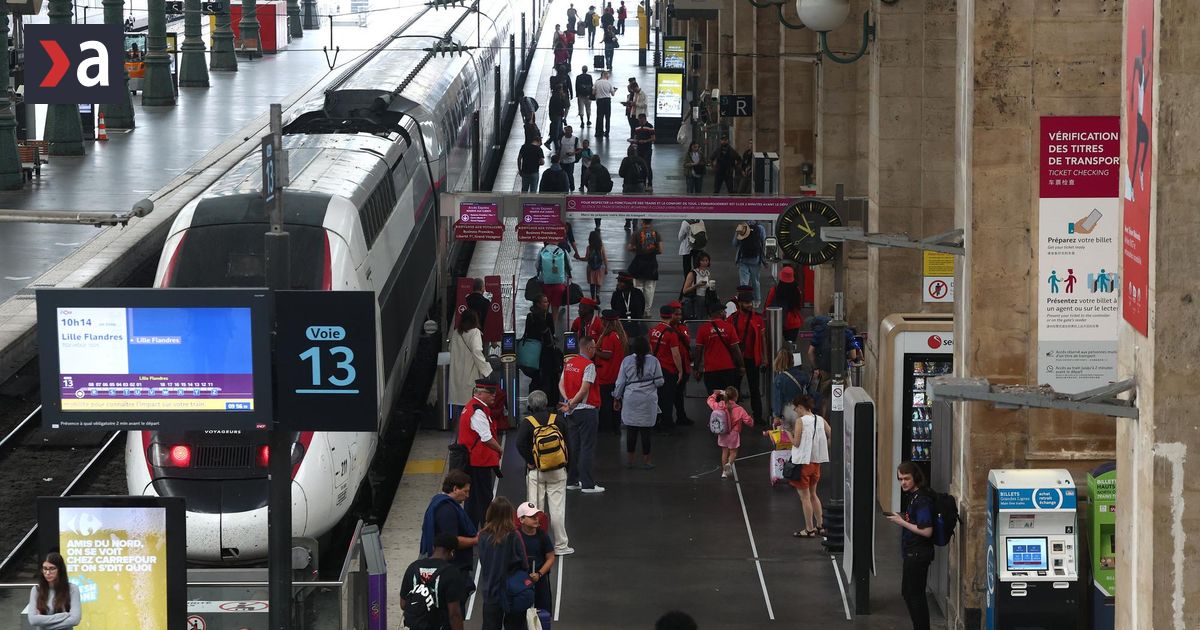 O furtună a făcut furtună la Paris, traficul a fost întrerupt pe linia de cale ferată Paris-Lyon din cauza copacilor căzuți