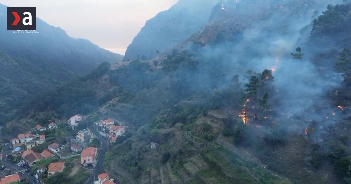 Portugalia cere ajutor UE pentru un incendiu care amenință o pădure inclusă pe lista UNESCO