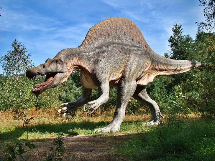 A fost descoperită o nouă specie de dinozauri: ar putea „comunica” între ei