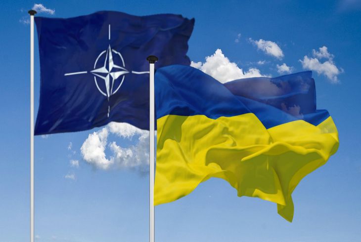 Mass-media: Germania și Statele Unite blochează cererea oficială a Ucrainei de aderare la NATO