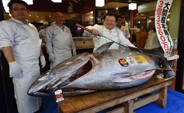 Tonul vândut în Japonia pentru un record de 3,1 milioane de dolari