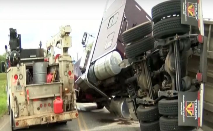 Camionul care transporta 133 de milioane de albine s-a răsturnat în SUA