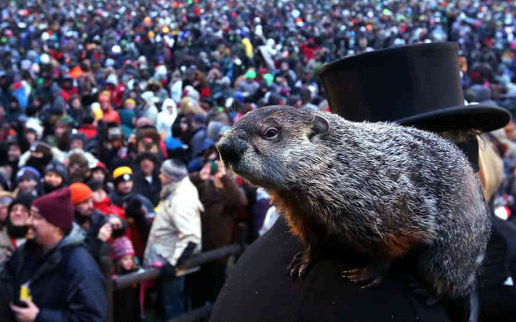 Marmota Phil a prezis când va veni primăvara