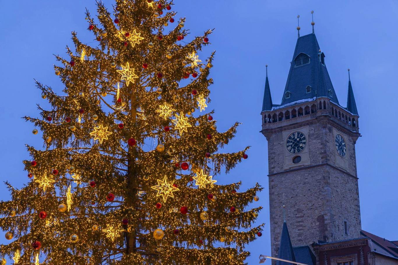 Staroměstské náměstí luminează un molid de 65 de ani – iReceptář.cz