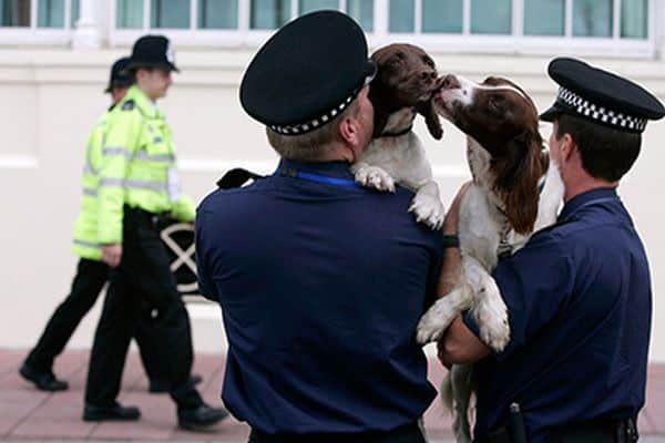 Poliția din Londra dezvăluie cele mai neobișnuite furturi de animale